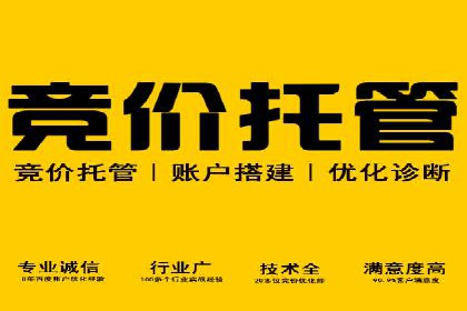 从入门到精通：SEM竞价专员成长案例